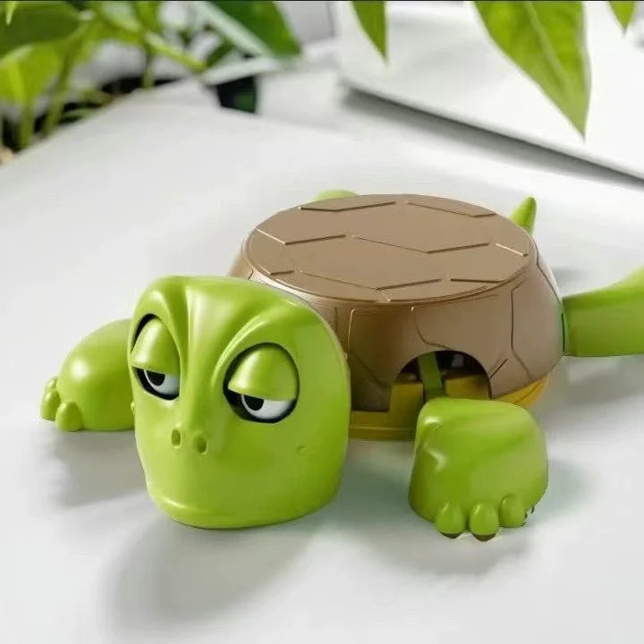 Panicked Turtle Coaster